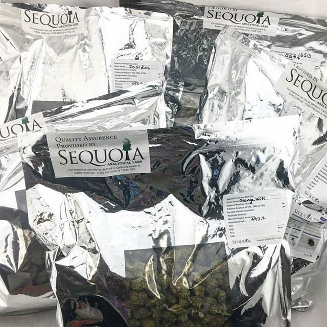 The Sequoyah Group, LLC Website