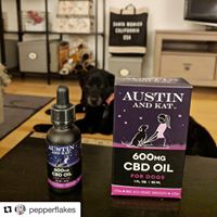 Austin and Kat Website