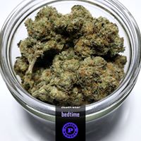 Pioneer Nuggets Website