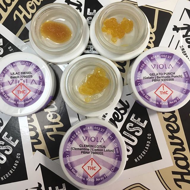 Harvest House Nederland Website