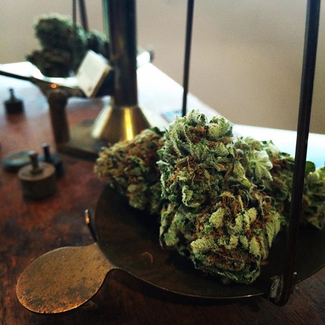 MediGreen Collectives Website