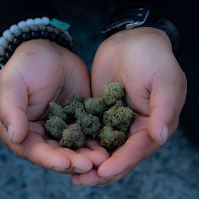 Diamond Green Recreational Marijuana - Tacoma Website