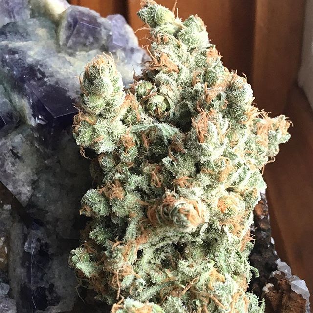 Lovelight Medicinals Website