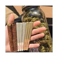 Road Runner Co - Oakland Website