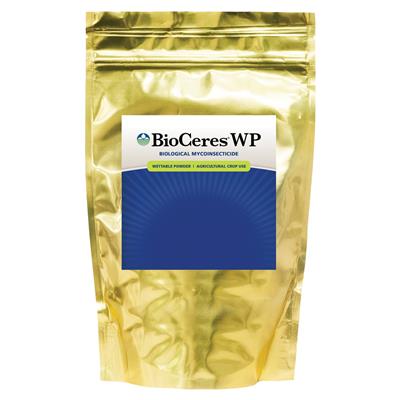 Hummert International Website