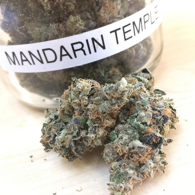 Harvest House Nederland Website