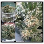 Sweet Relief - Astoria, Or. Website