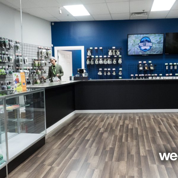 A Greener Today - Lynnwood Website