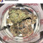 Wolf Pac Cannabis - Federal Blvd Website