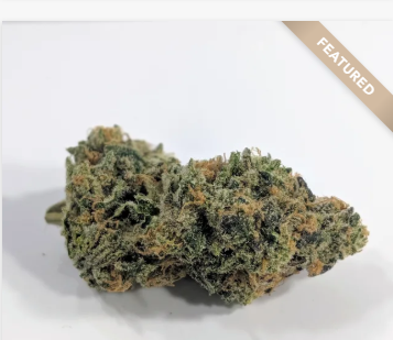 Bay Care Delivery Website