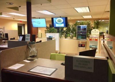 Nevada Wellness Center Website