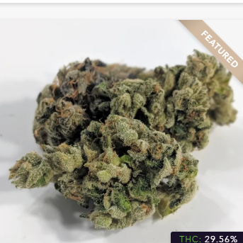 Bay Care Delivery Website