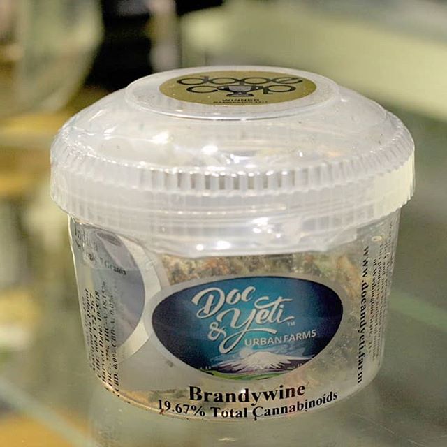 Elite - Lacey Website