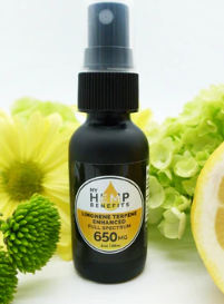 My Hemp Benefits Website