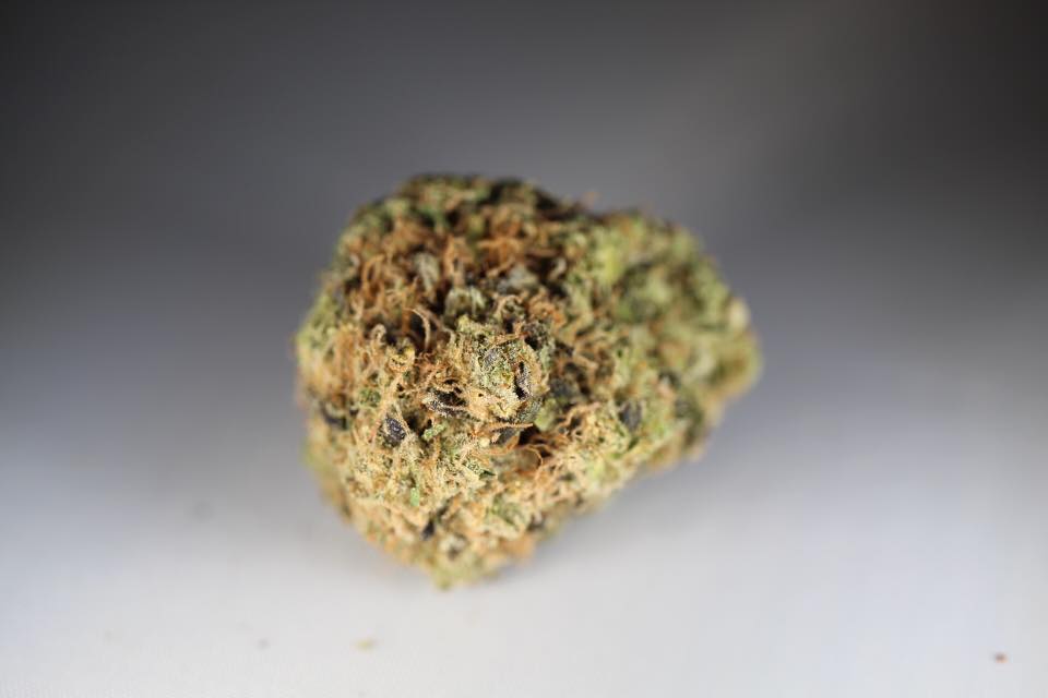 Three Greens Collective Website