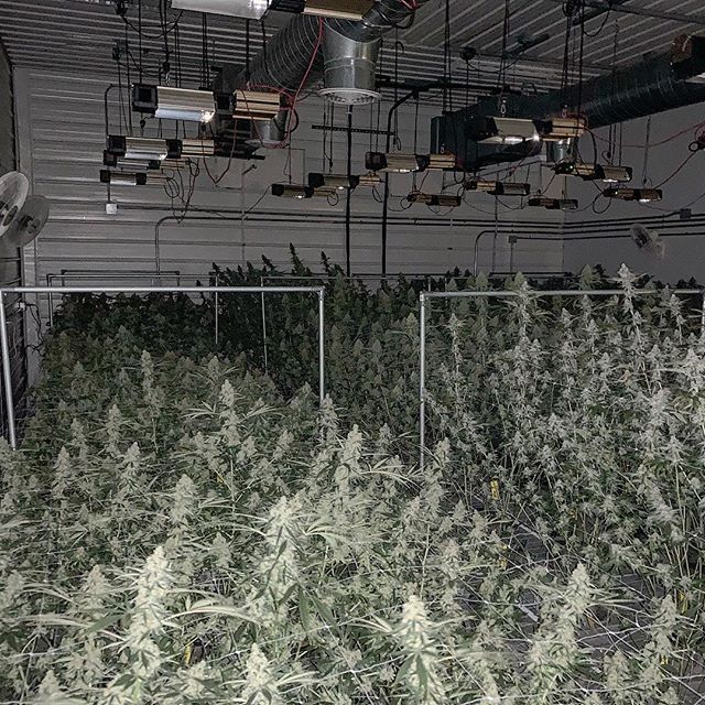 Spark1 - Bozeman Website