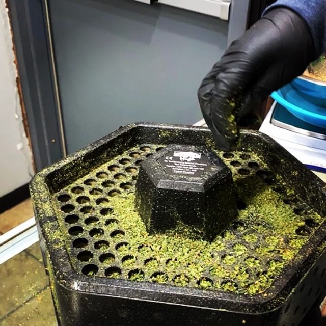 Denver Dispensary - Medical Website