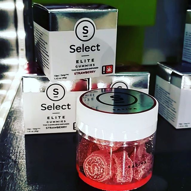 Grateful Meds Talent Website