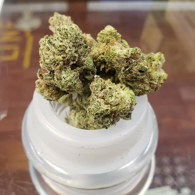 Stone Age Pharmacy Los Angeles Website