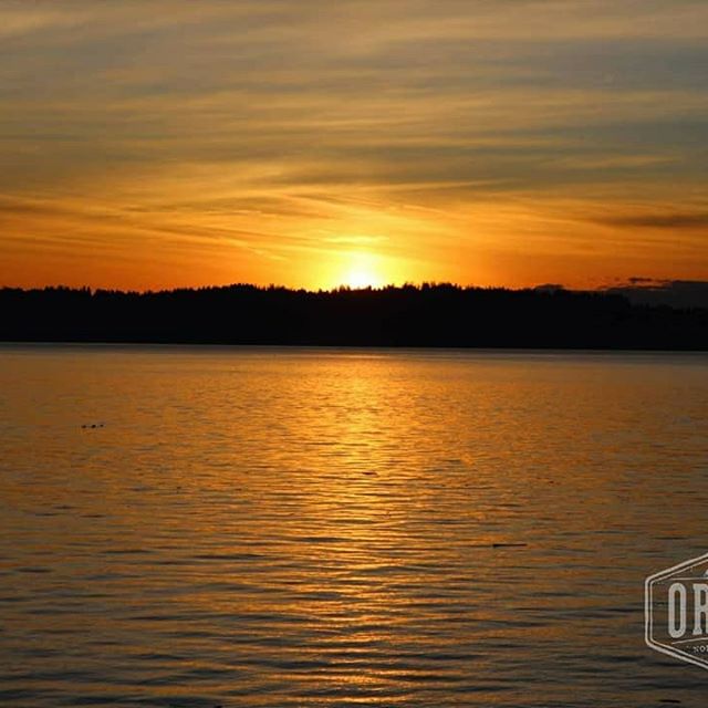 Origins - West Seattle Website