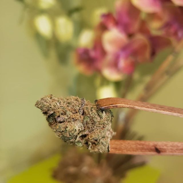 Market Street Wellness Website