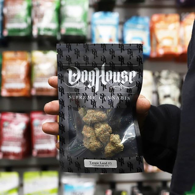 Fillabong - Silverdale Website