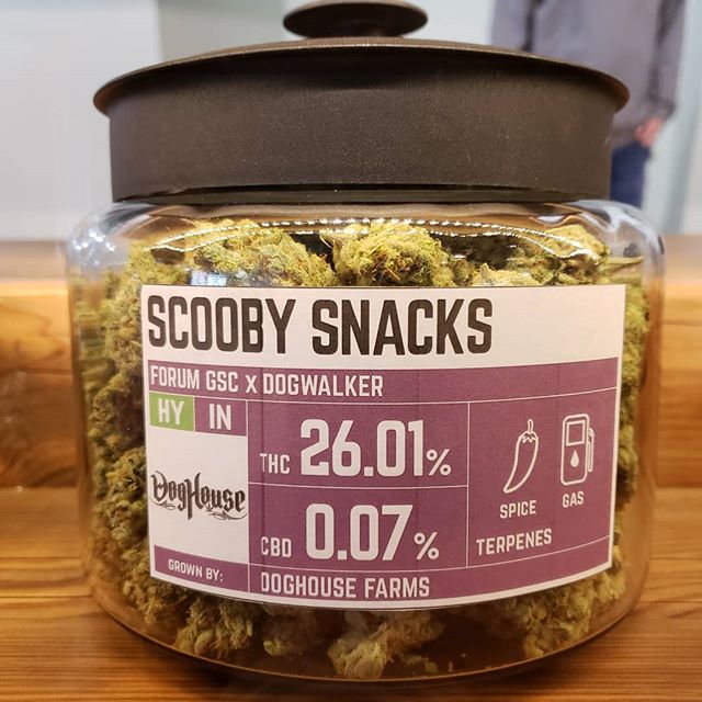 Five Zero Trees East Website