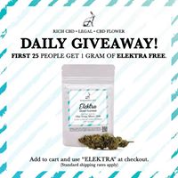 Berkshire CBD Website