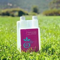 Bio Harmonic Tonic Website