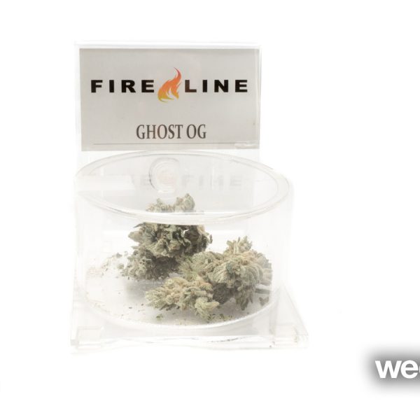 A Greener Today - Lynnwood Website