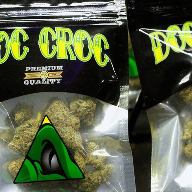 Elite - Lacey Website