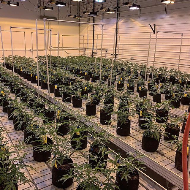 Spark1 - Bozeman Website