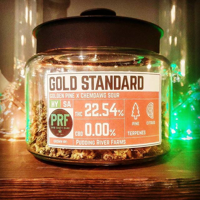 Five Zero Trees Cannon Beach Website