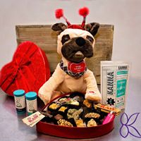 Kanna Reno/Sparks Website