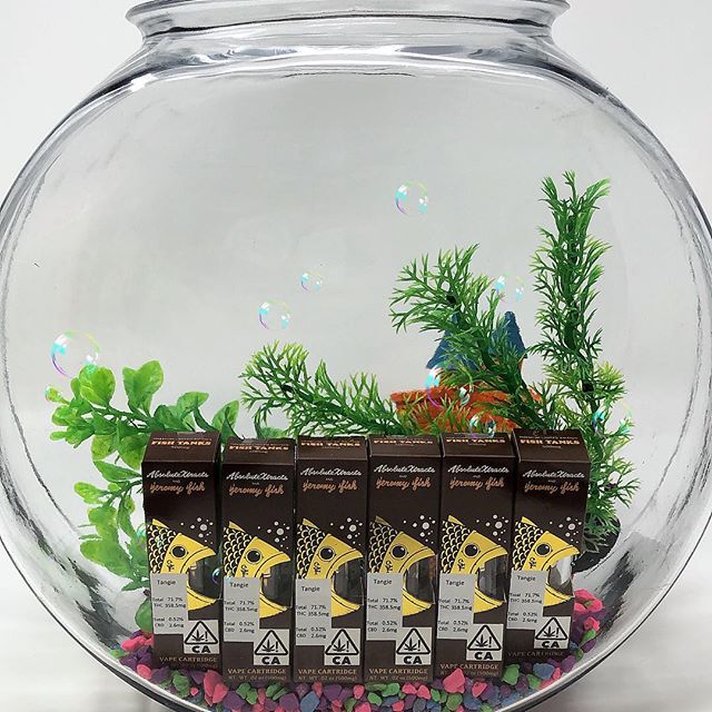 Dixon Wellness Website