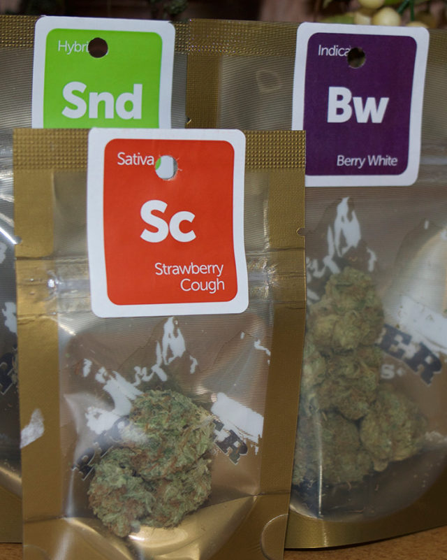 Natures Recreational Center - Tacoma, Washington Website