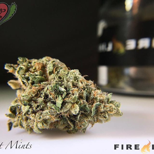 Loving Farms - Mount Vernon Website