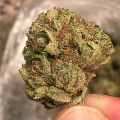 Bronto Delivery Website