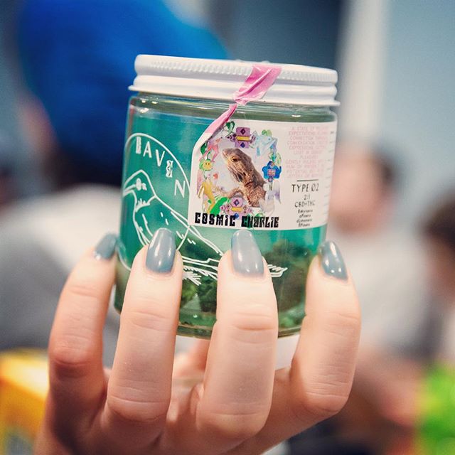 Cinder - North Division Website