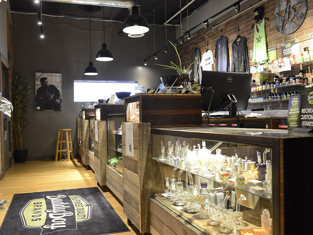 Buddy Boy Walnut - Rino Website