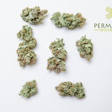 Permafrost Distributors Website