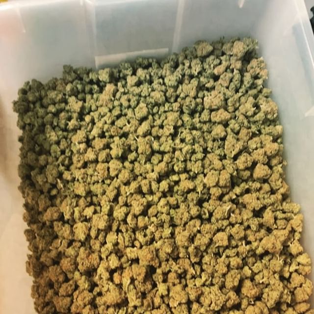 Stellar Cannabis Co. Website