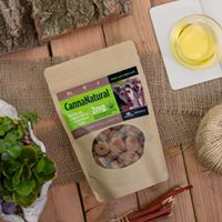 Healthy Hemp Pet Company Website