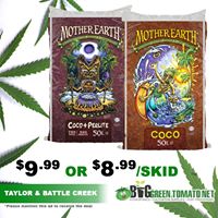 Big Green Tomato Website