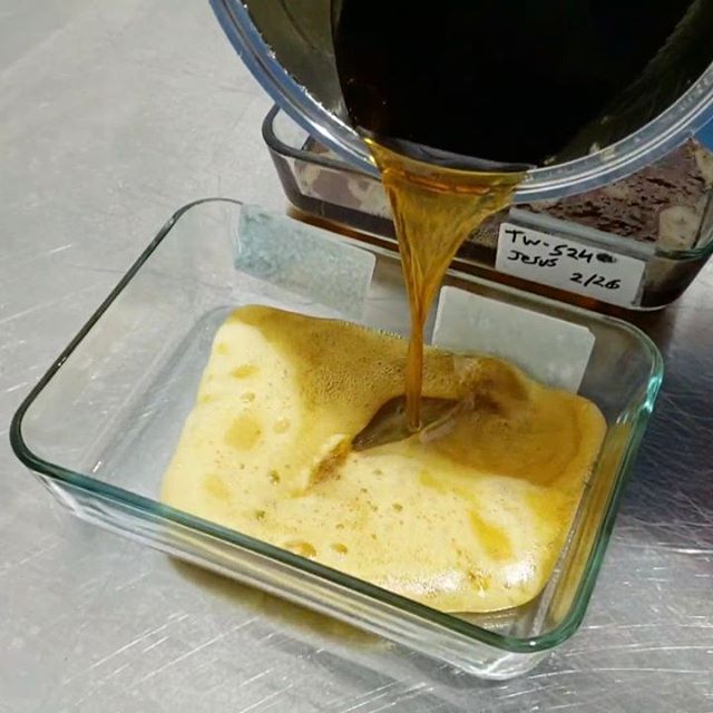 OG Collective - Hawthorne Website