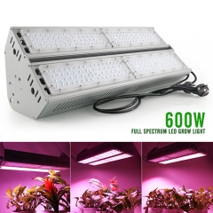 Shenzhen XinJia Light Co. Ltd Website