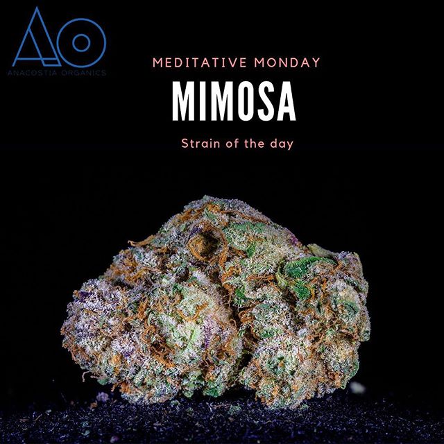 Anacostia Organics Website