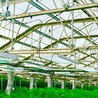 Ultra Health Albuquerque - Nob Hill Birdland Website