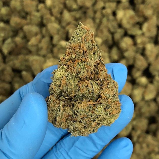 Revolutionary Clinics - Fresh Pond Website