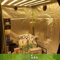 VividGro Website